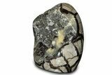 Free-Standing, Polished Septarian Geode - Black & Yellow Crystals #302867-2